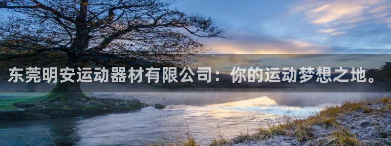 熊猫体育官网下载软件：东莞明安运动器材有限公司：你的运动梦想