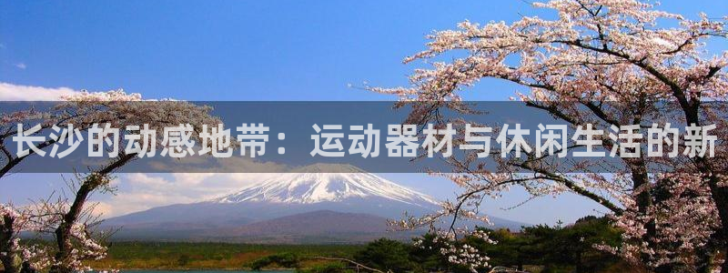 熊猫体育官网下载招商电话号码是多少啊